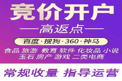 SEM代理实战：成功案例分享与经验总结